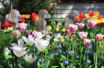 MI Flower Shops, Greenhouses & Garden Centers To Reopen w/Restrictions!