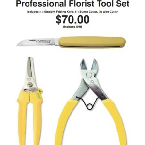 Three Piece Professional Tool Set